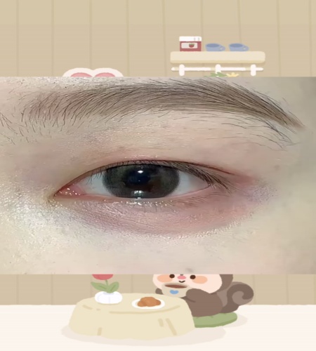 紹介動画
