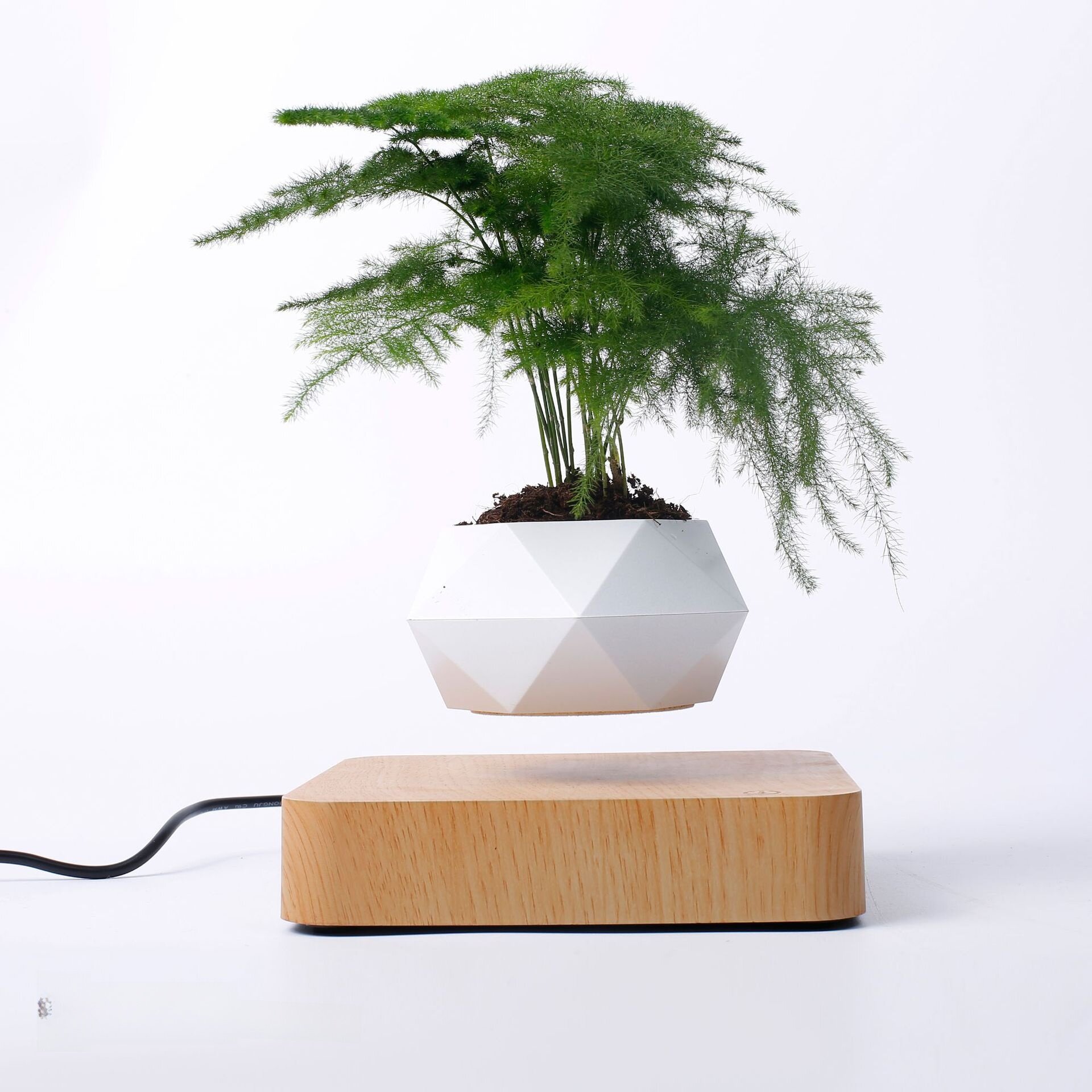 リビング置物｜インテリア雑貨・人工観葉植物・盆栽風・磁気浮上・おしゃれ・癒し・インスタ映え|undefined