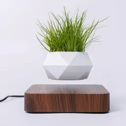 skuImage