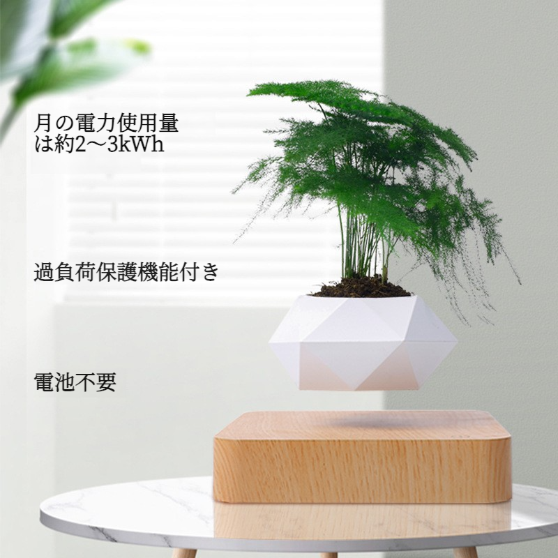 リビング置物｜インテリア雑貨・人工観葉植物・盆栽風・磁気浮上・おしゃれ・癒し・インスタ映え|undefined