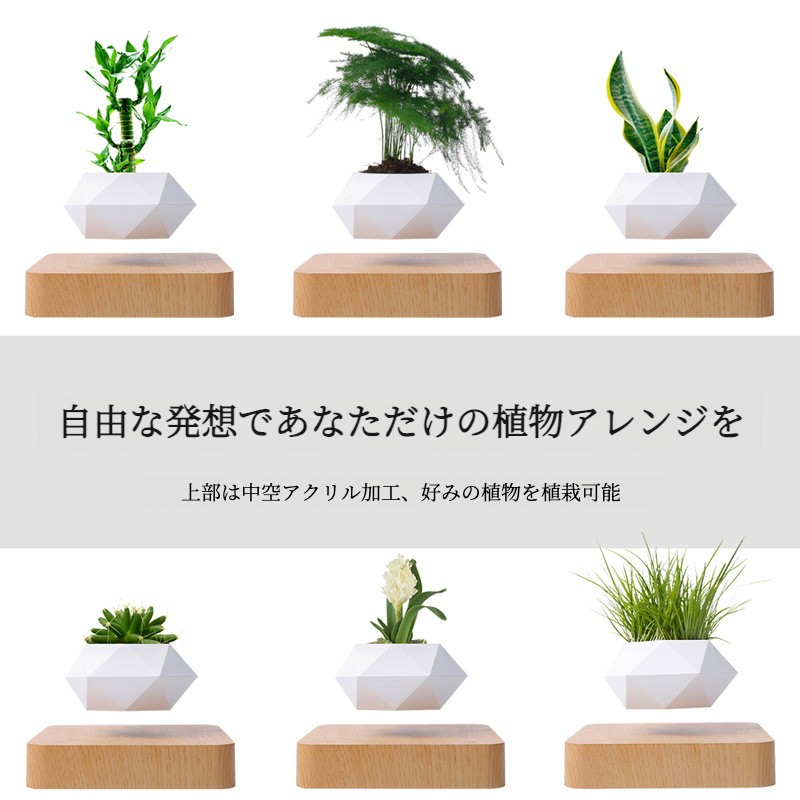 リビング置物｜インテリア雑貨・人工観葉植物・盆栽風・磁気浮上・おしゃれ・癒し・インスタ映え|undefined