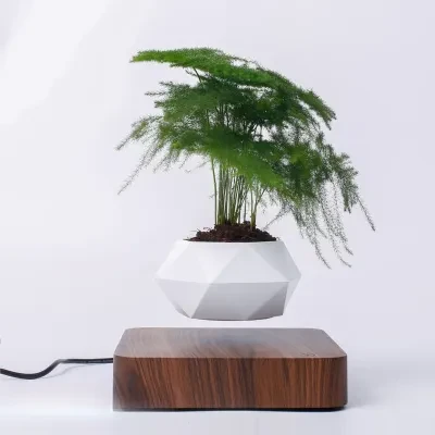 FunCASE リビング置物｜インテリア雑貨・人工観葉植物・盆栽風・磁気浮上・おしゃれ・癒し・インスタ映え