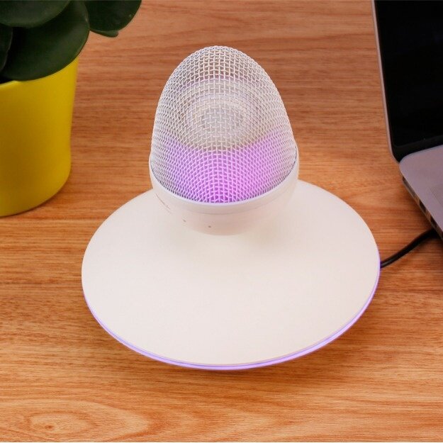 磁気浮上スピーカー｜Bluetoothスピーカー・ガチョウの卵型・サプライズ・贈り物・ロマンチック|undefined