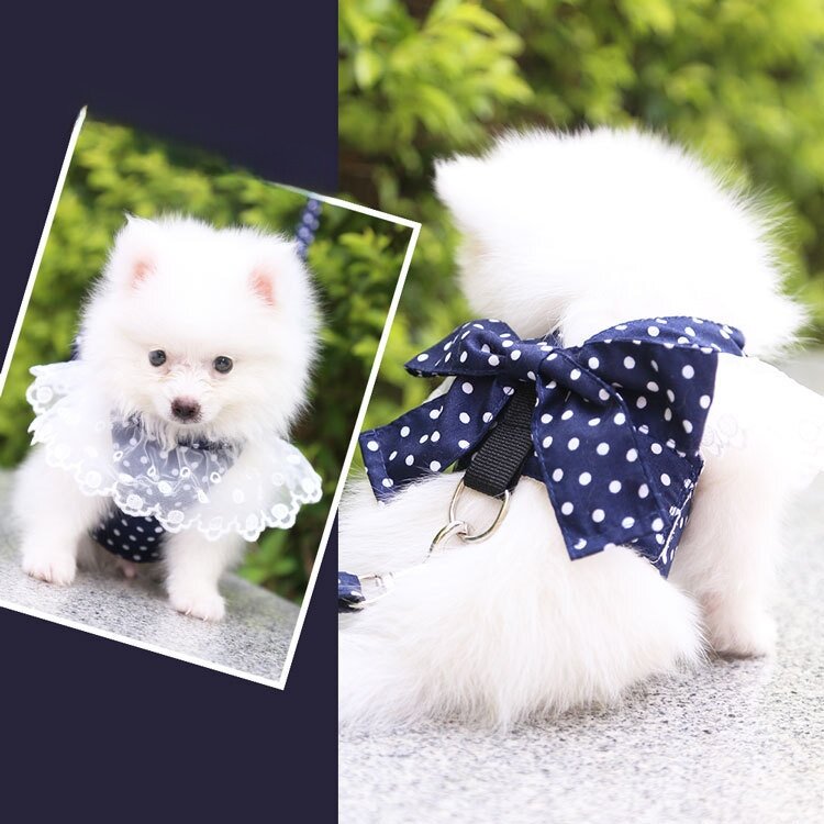 犬猫用の服・ペット用品・リード・犬用ハーネス・かわいい|undefined