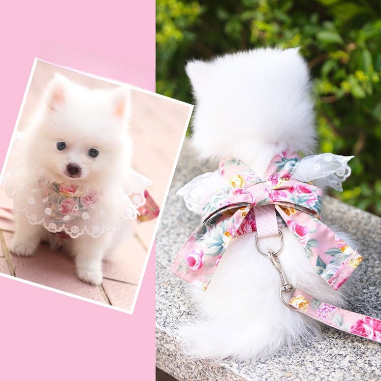 犬猫用の服・ペット用品・リード・犬用ハーネス・かわいい|undefined