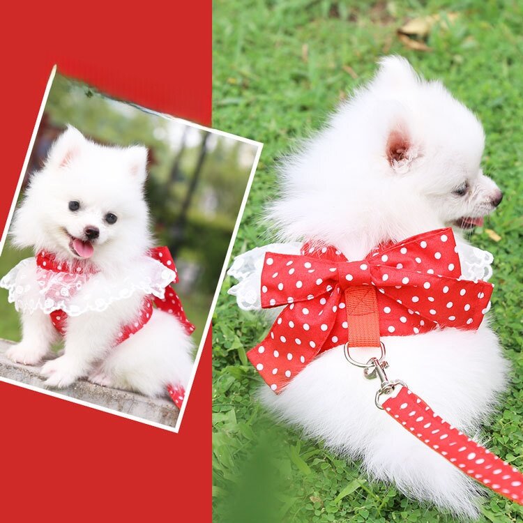 犬猫用の服・ペット用品・リード・犬用ハーネス・かわいい|undefined