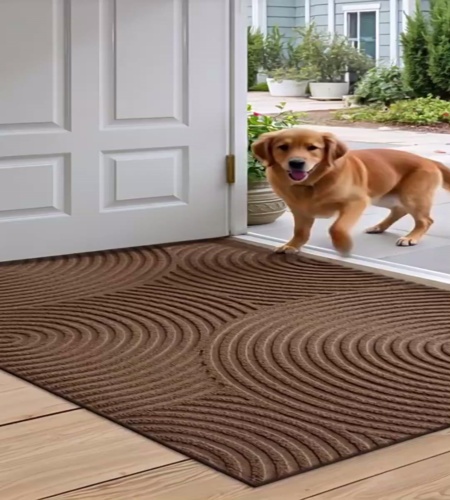 紹介動画