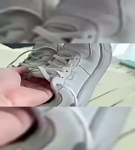 紹介動画
