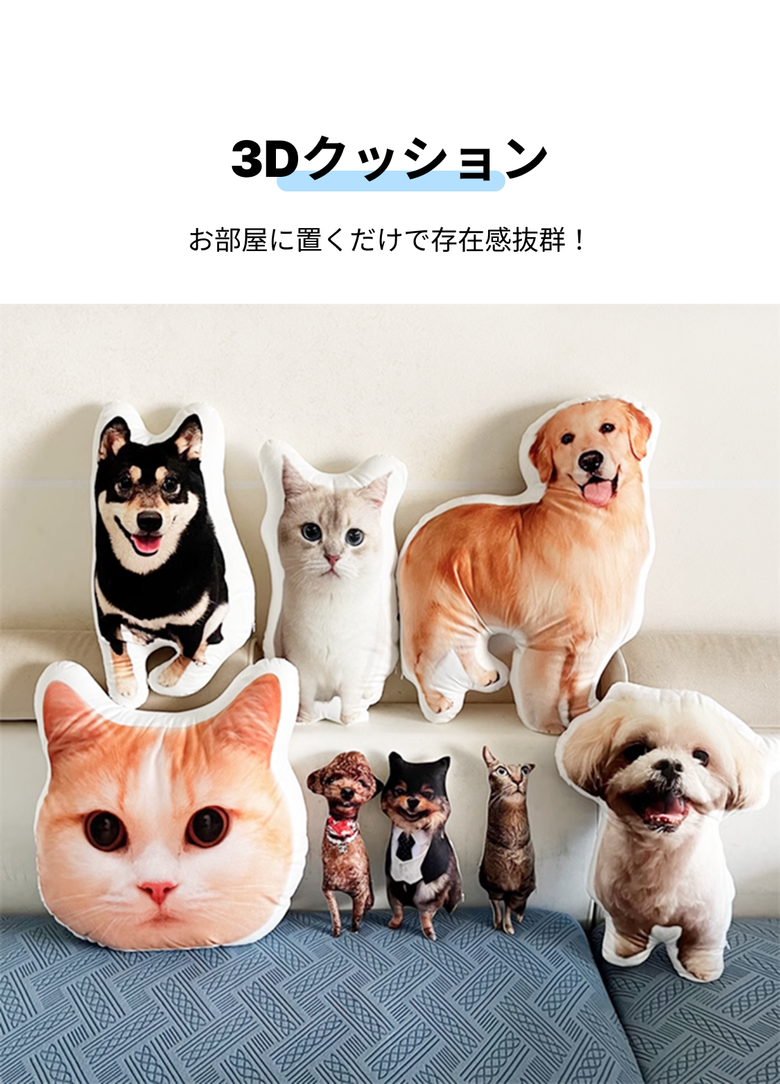 3Dクッション｜ペット・ファミリー・子ども・スターファン専用