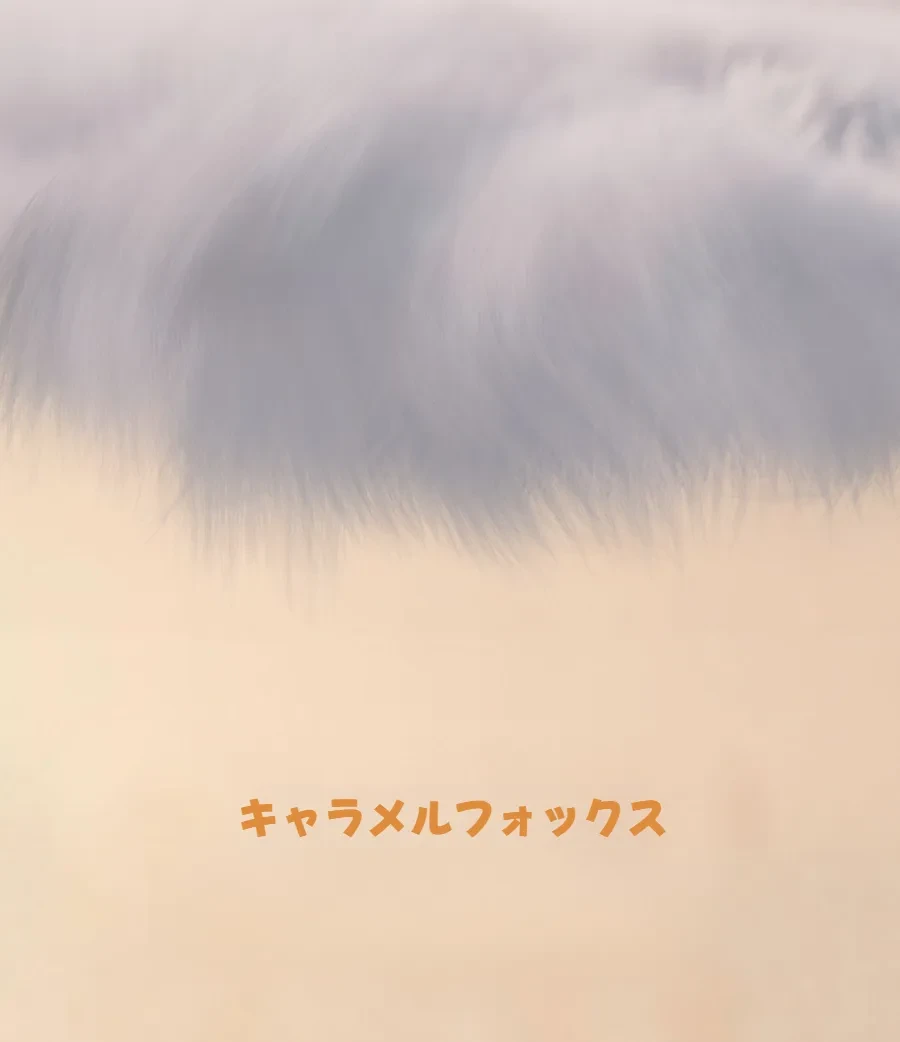 882626107466280960.png?x-oss-process=image/format,webp
