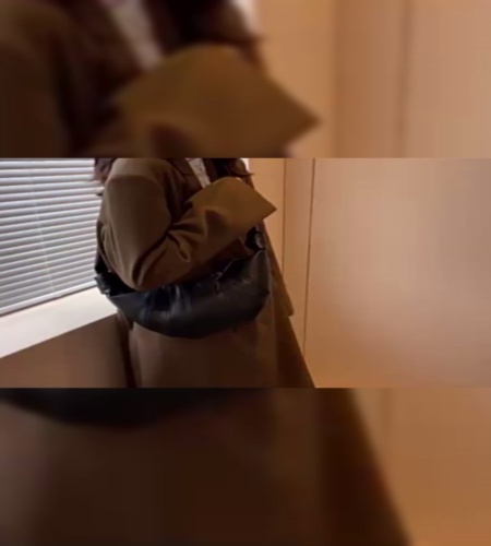 紹介動画