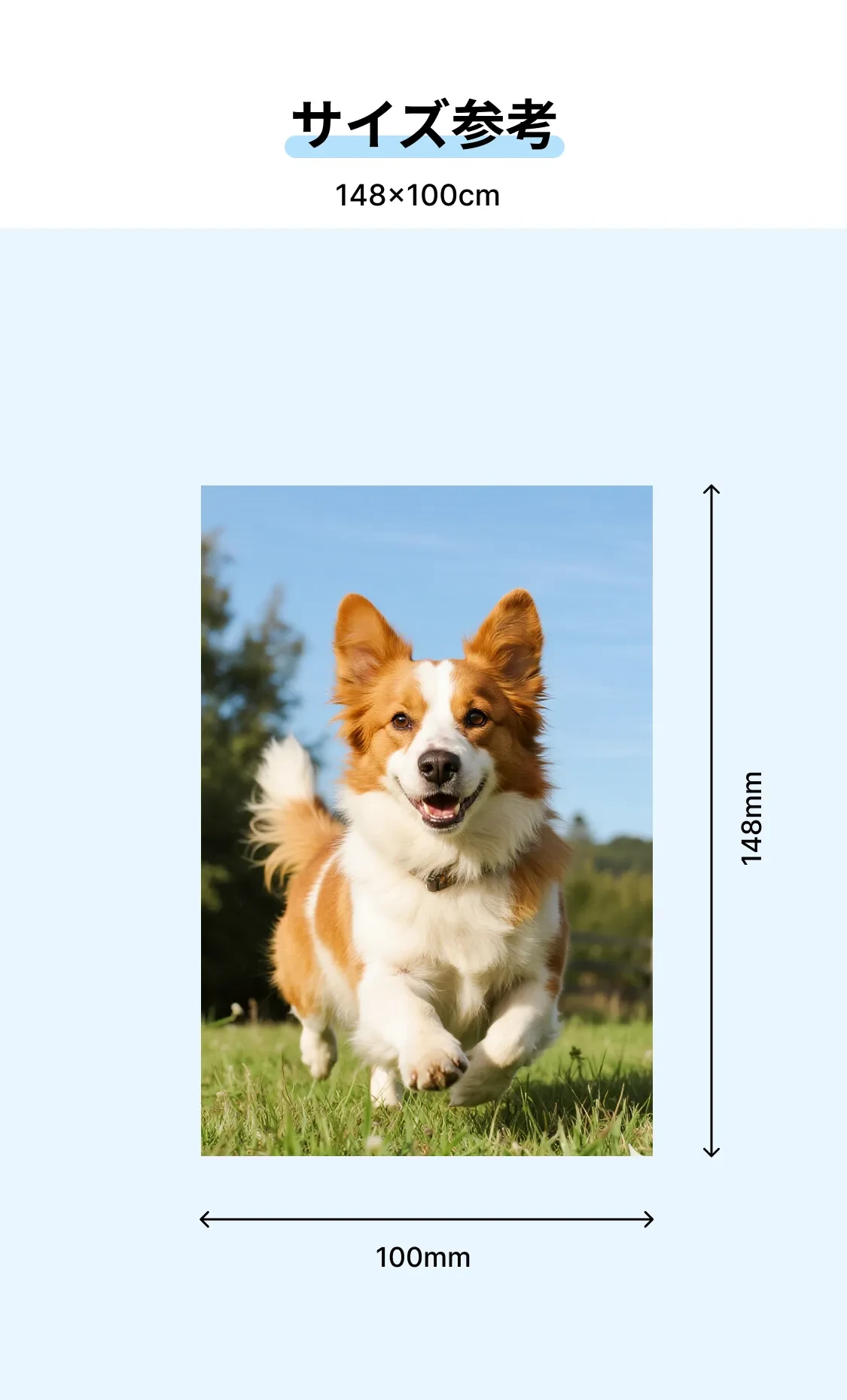 885991246781444096.png?x-oss-process=image/format,webp