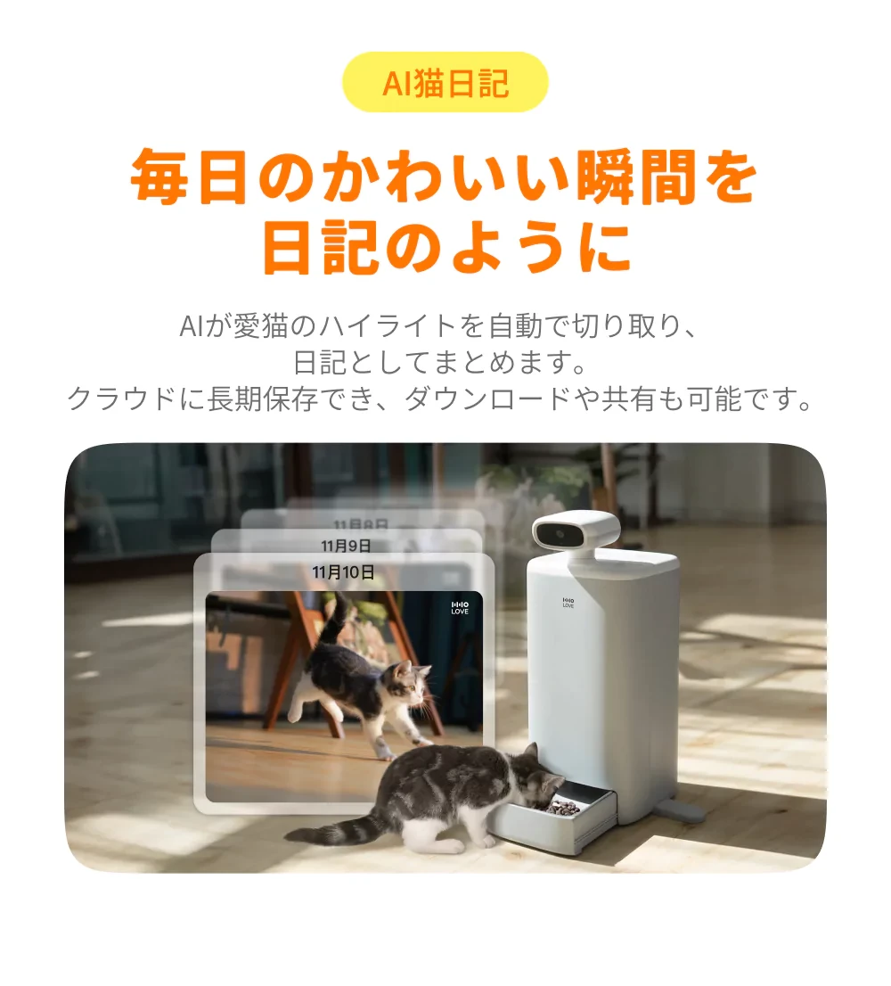 888827082455609344.webp