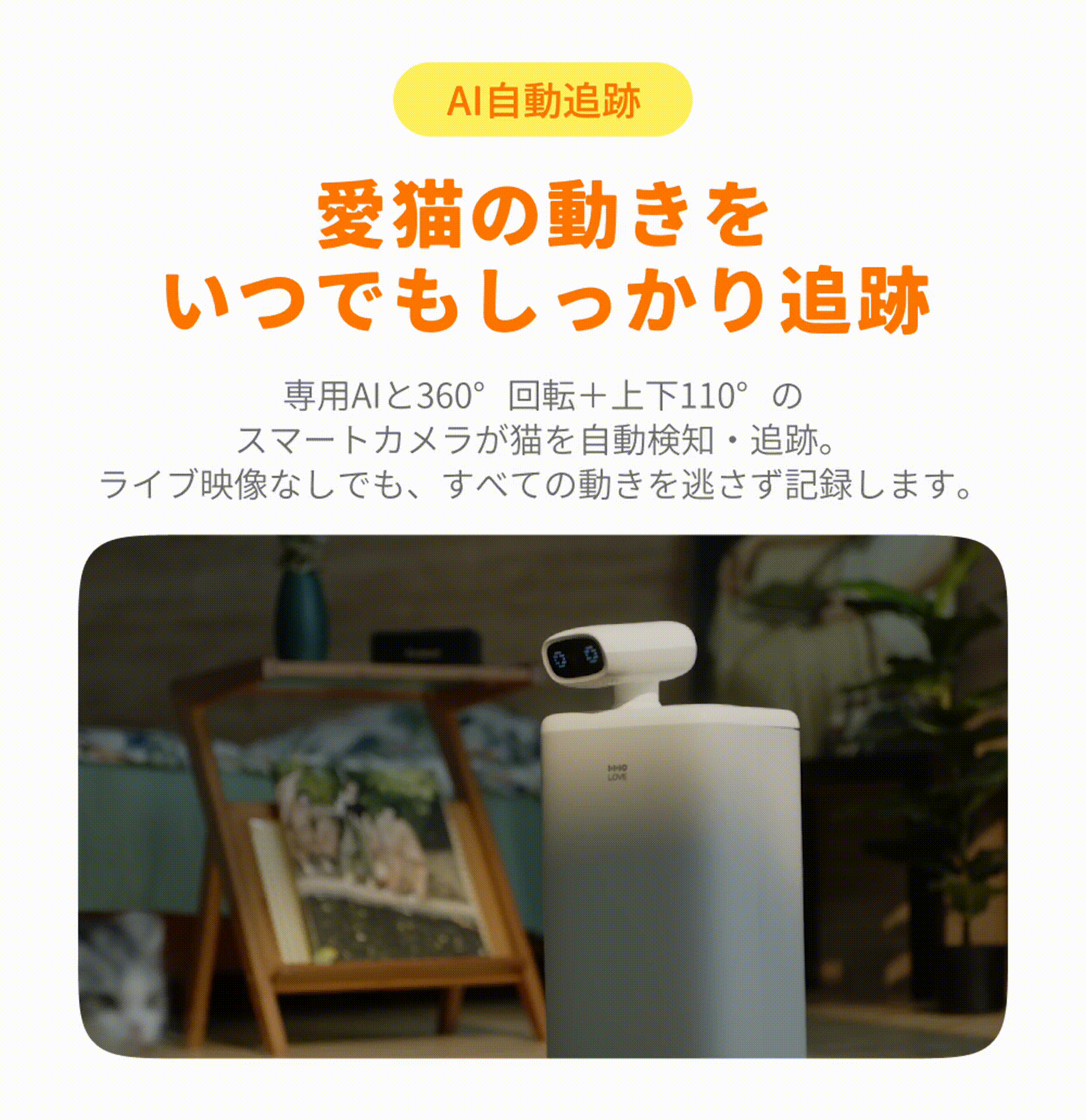 888836660530475008.webp