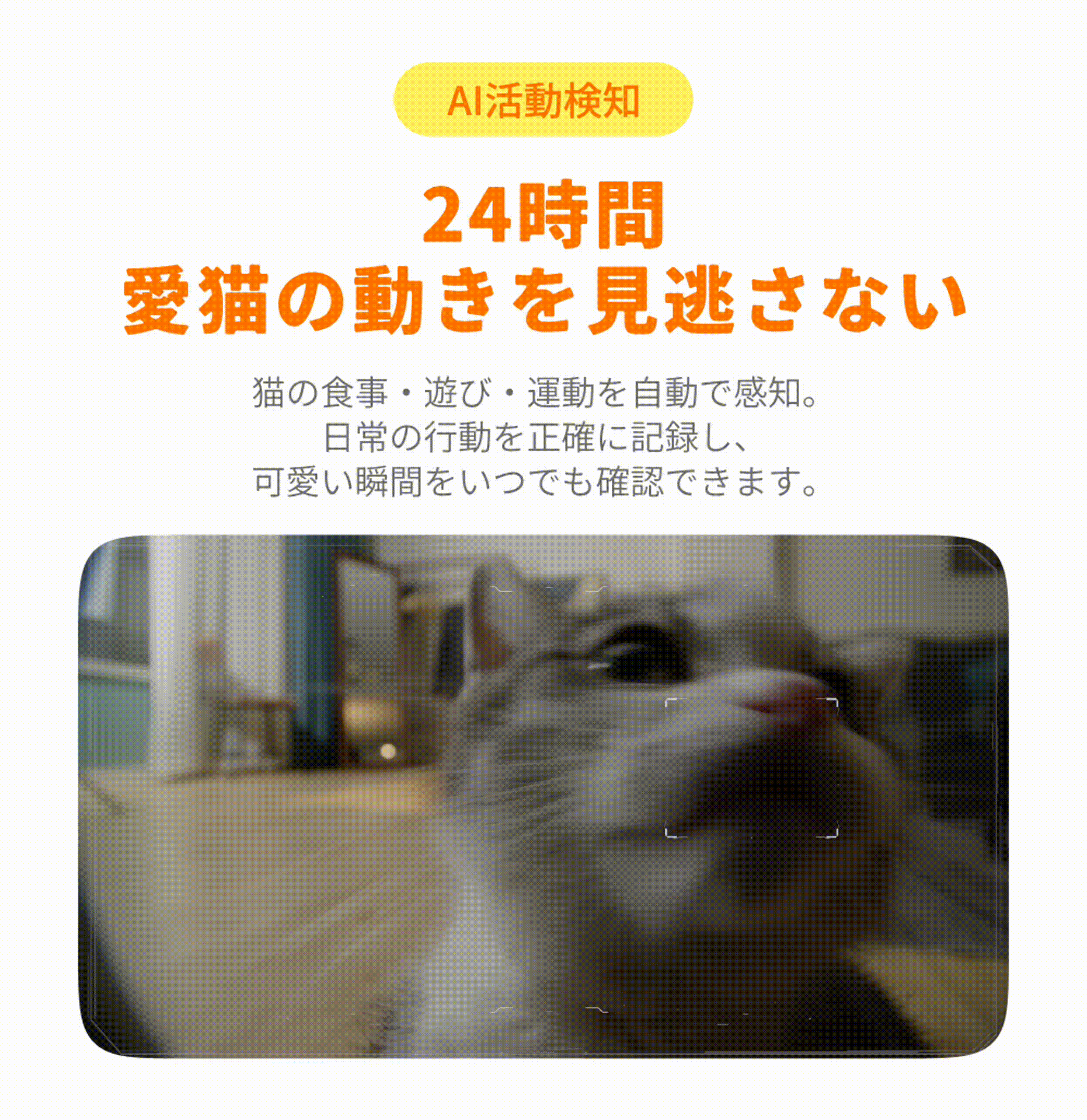 888836692352659456.webp