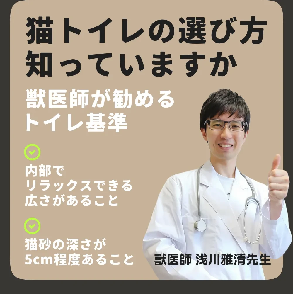 891031326889832448.png?x-oss-process=image/format,webp