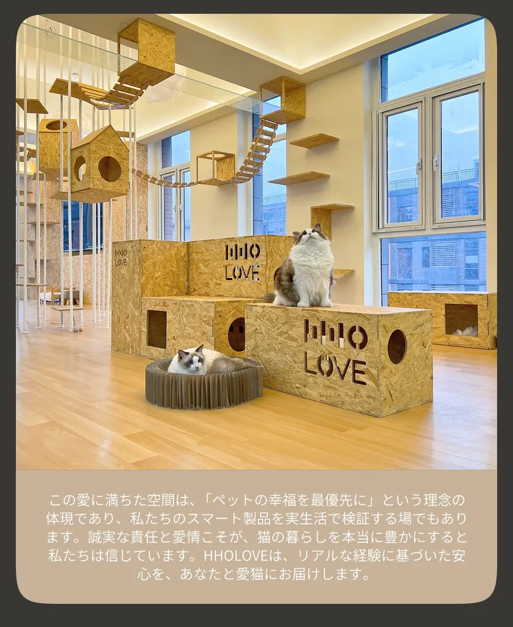 891032232058384384.png?x-oss-process=image/format,webp