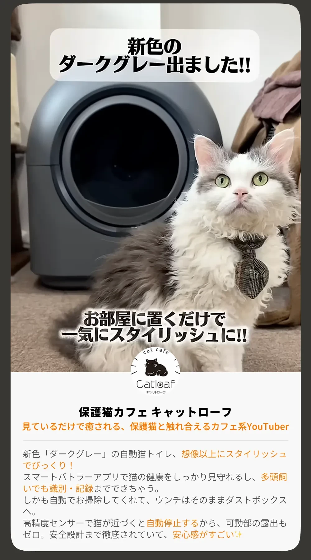 893136990831341568.png?x-oss-process=image/format,webp