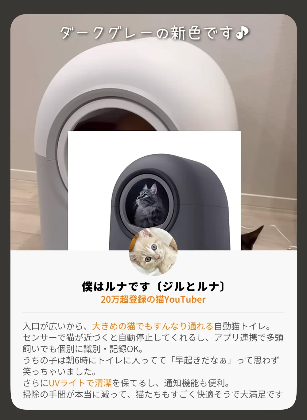 893137047949373440.png?x-oss-process=image/format,webp