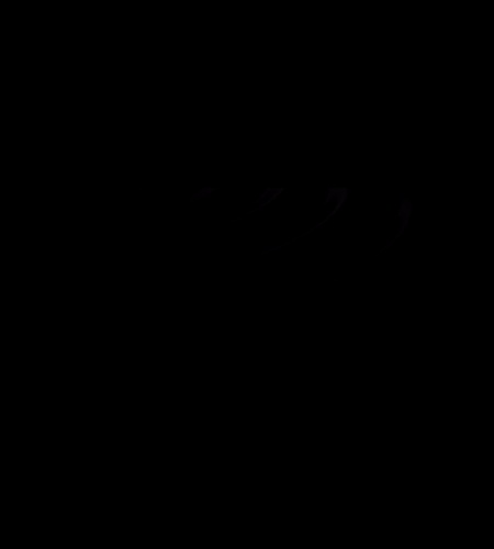 紹介動画