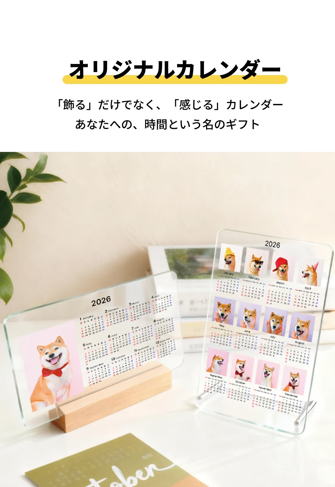 909007424592244736.png?x-oss-process=image/format,webp