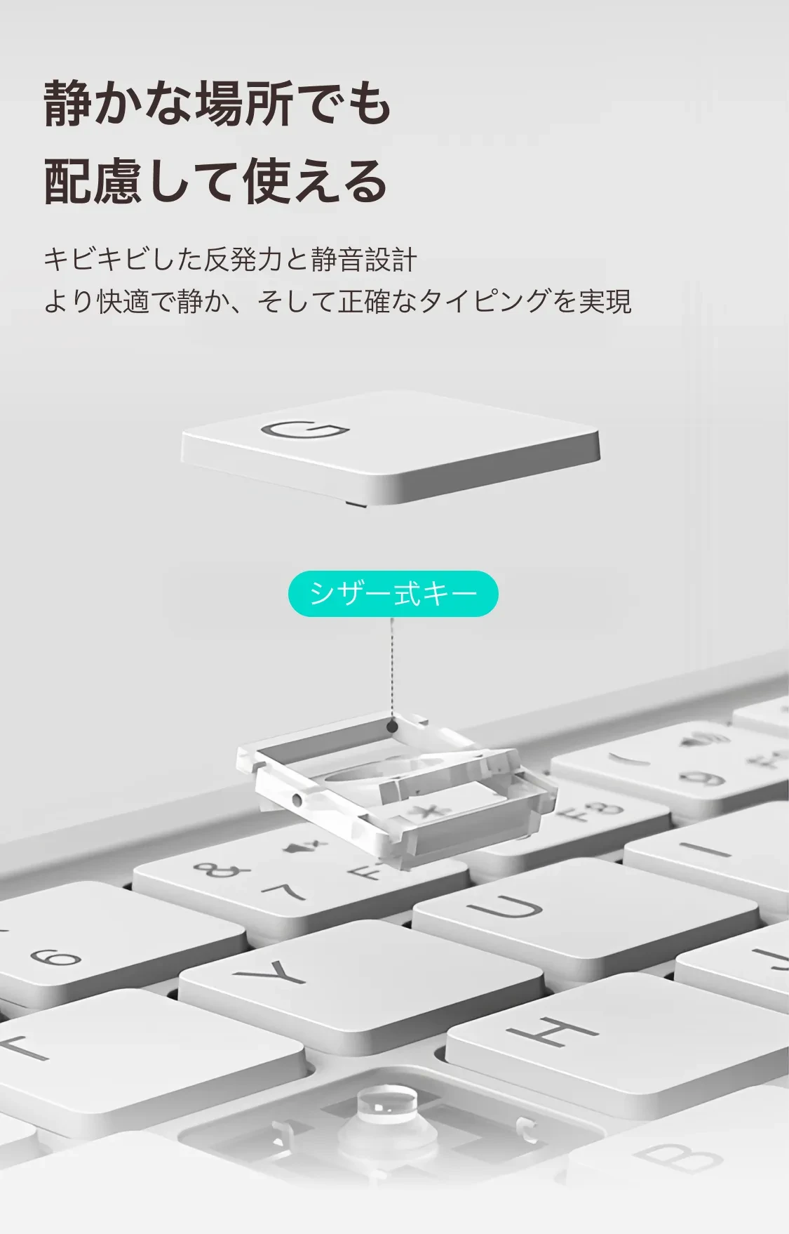 928022996927606784.png?x-oss-process=image/format,webp