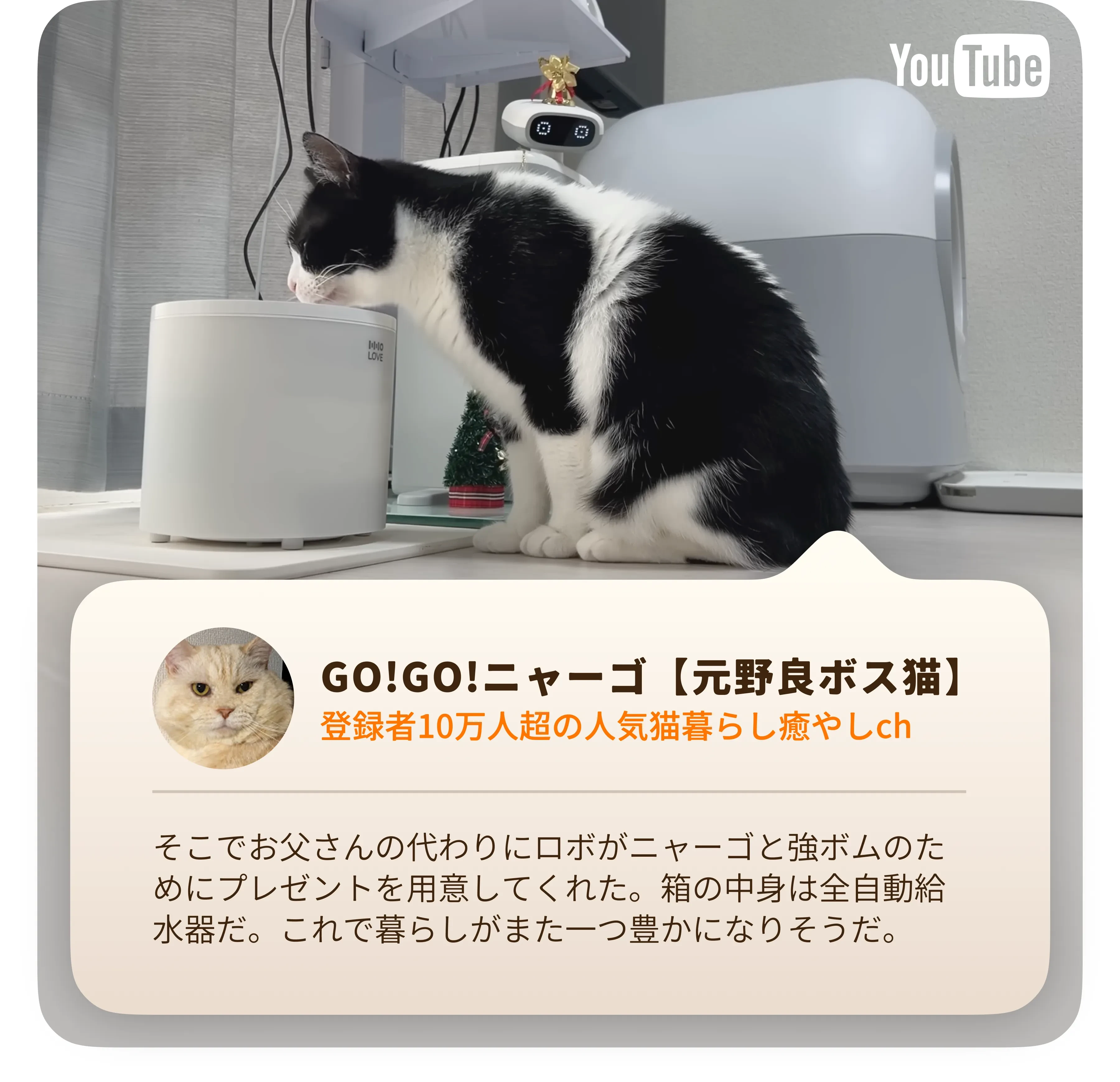 997504196993576960.png?x-oss-process=image/format,webp