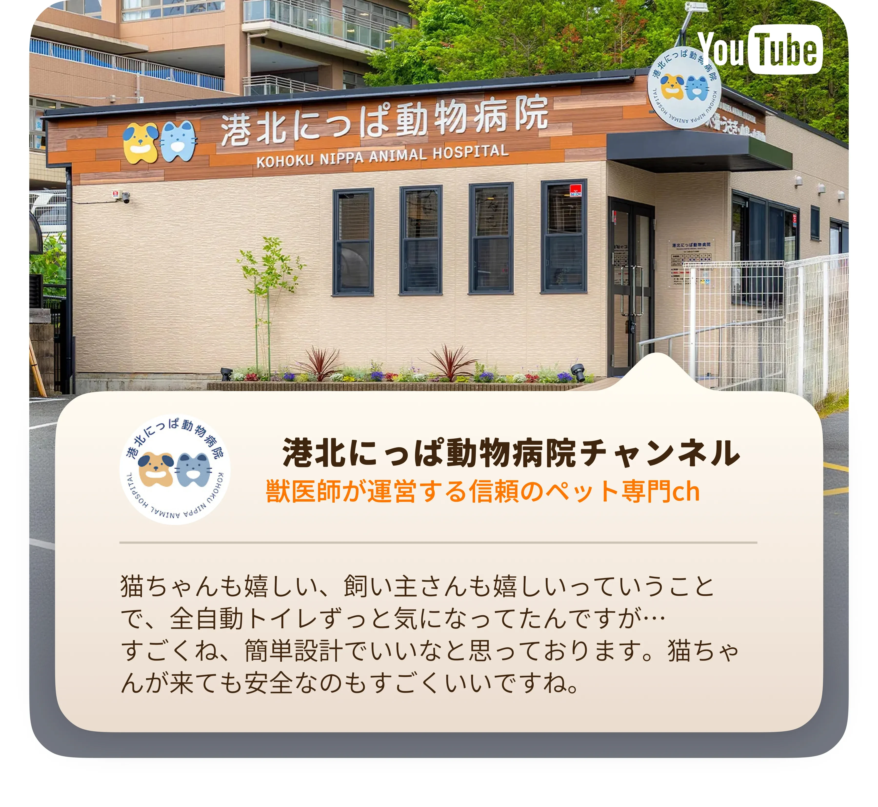 997504426476474368.png?x-oss-process=image/format,webp