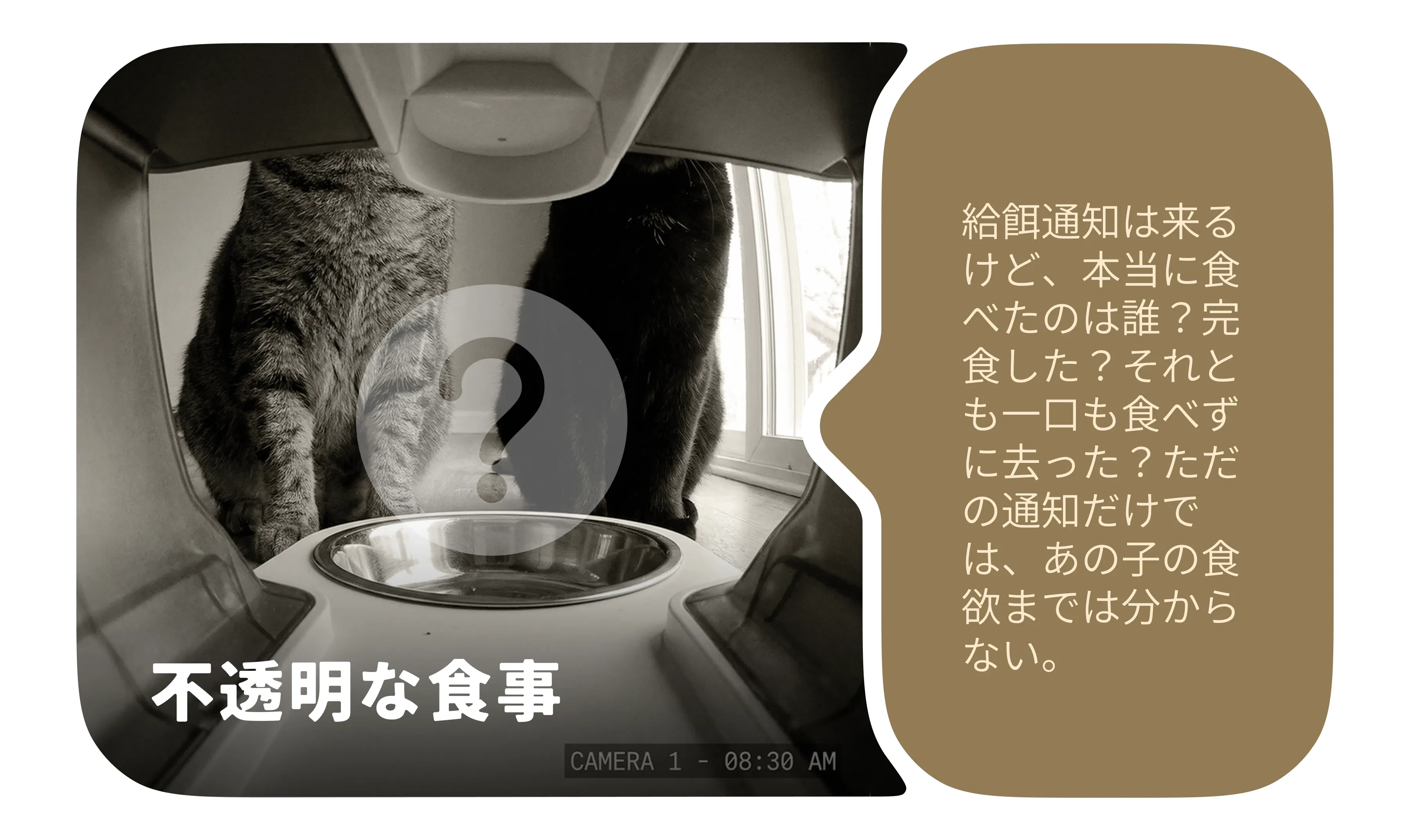 997504790495981568.png?x-oss-process=image/format,webp