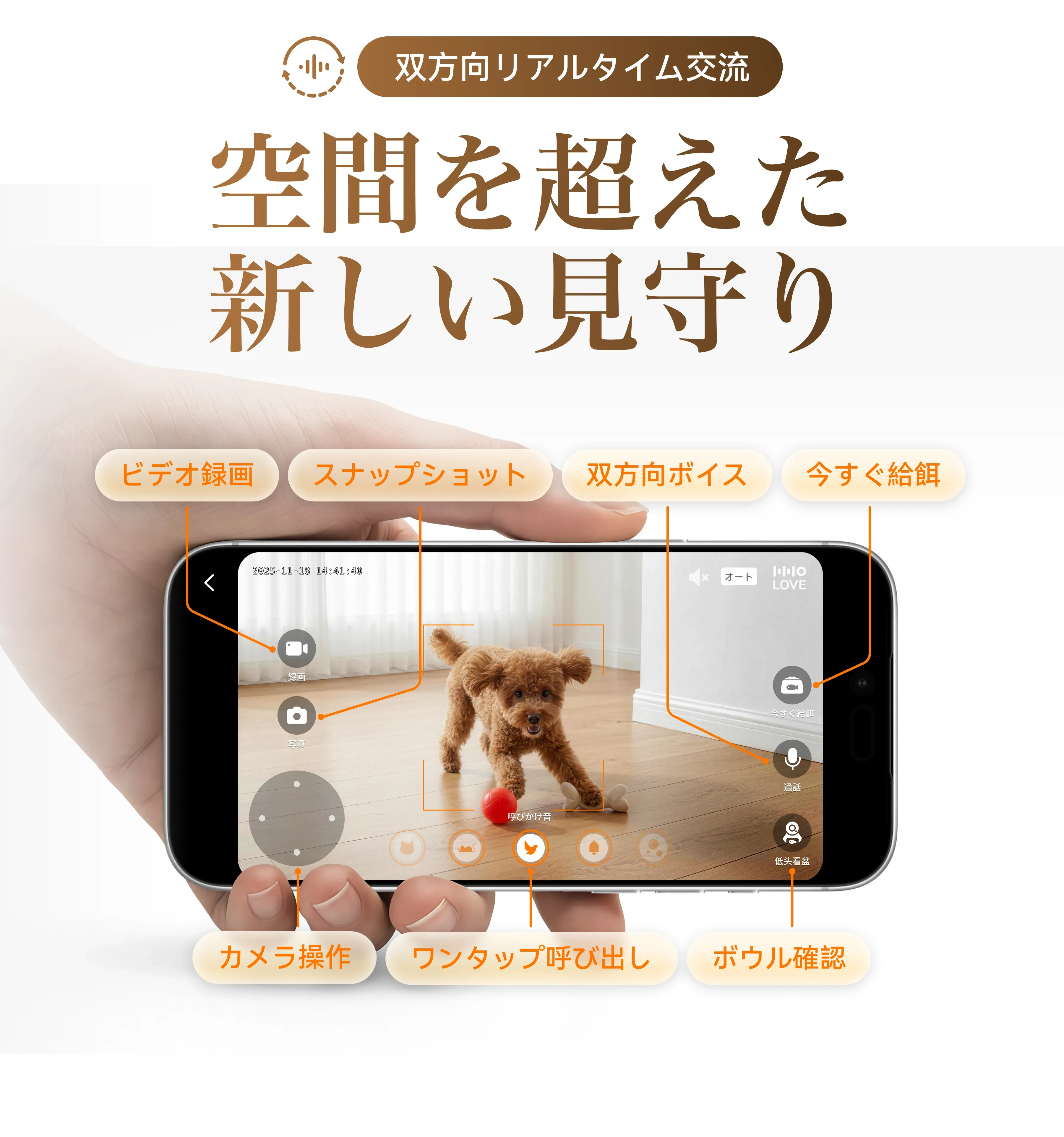 997506057486168064.png?x-oss-process=image/format,webp