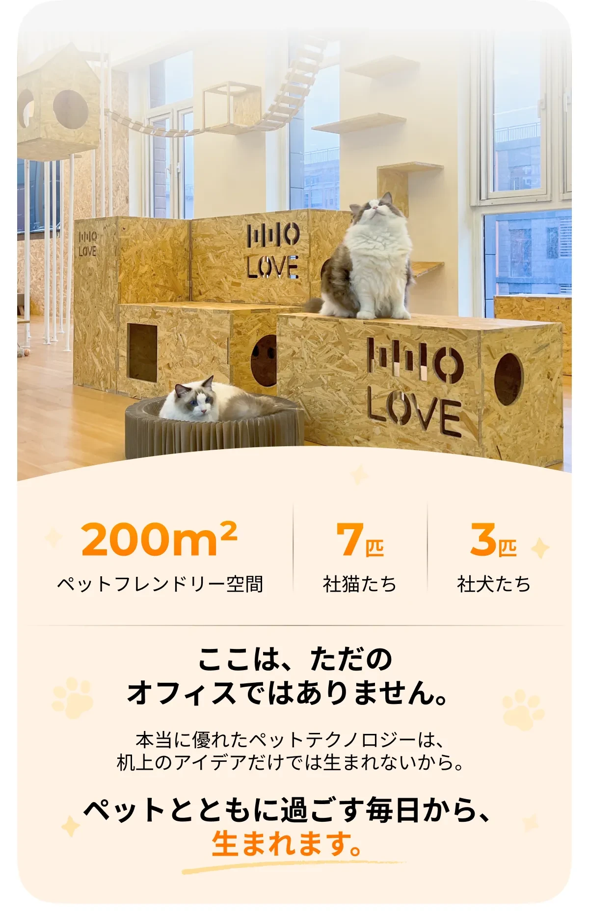 999333633959620608.png?x-oss-process=image/format,webp