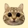neko_to_kareshi