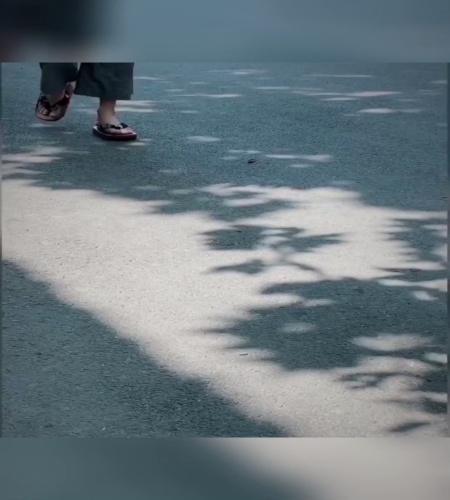 紹介動画