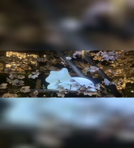 紹介動画