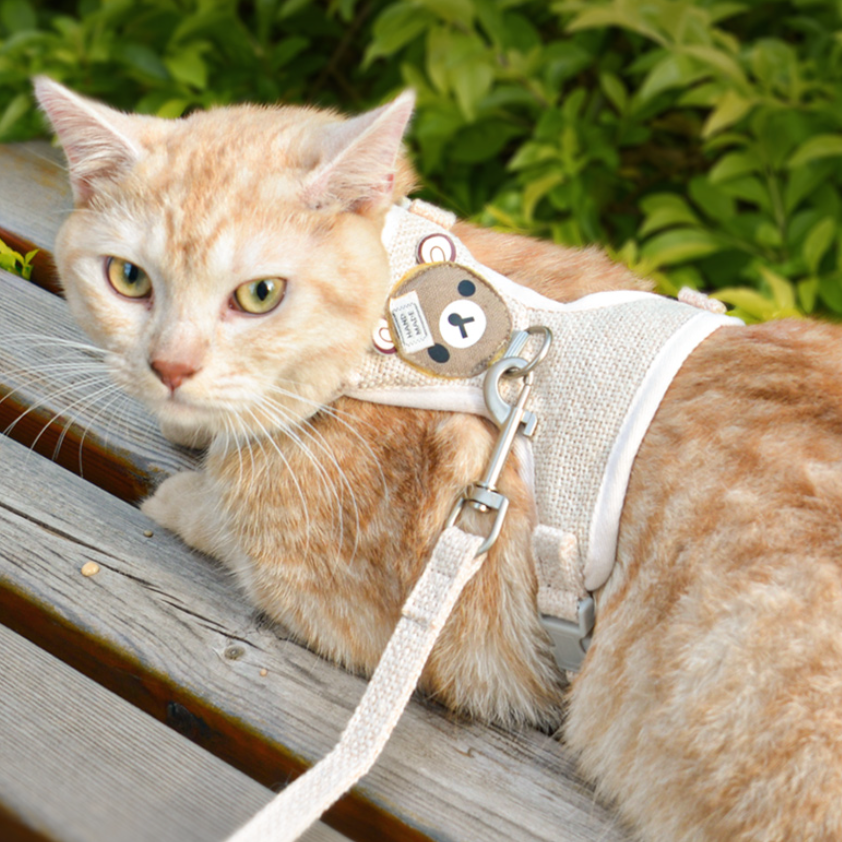 軽量 クマちゃんのデザイン 猫用ハーネス| 抜けない設計 簡単装着 通気 散歩用