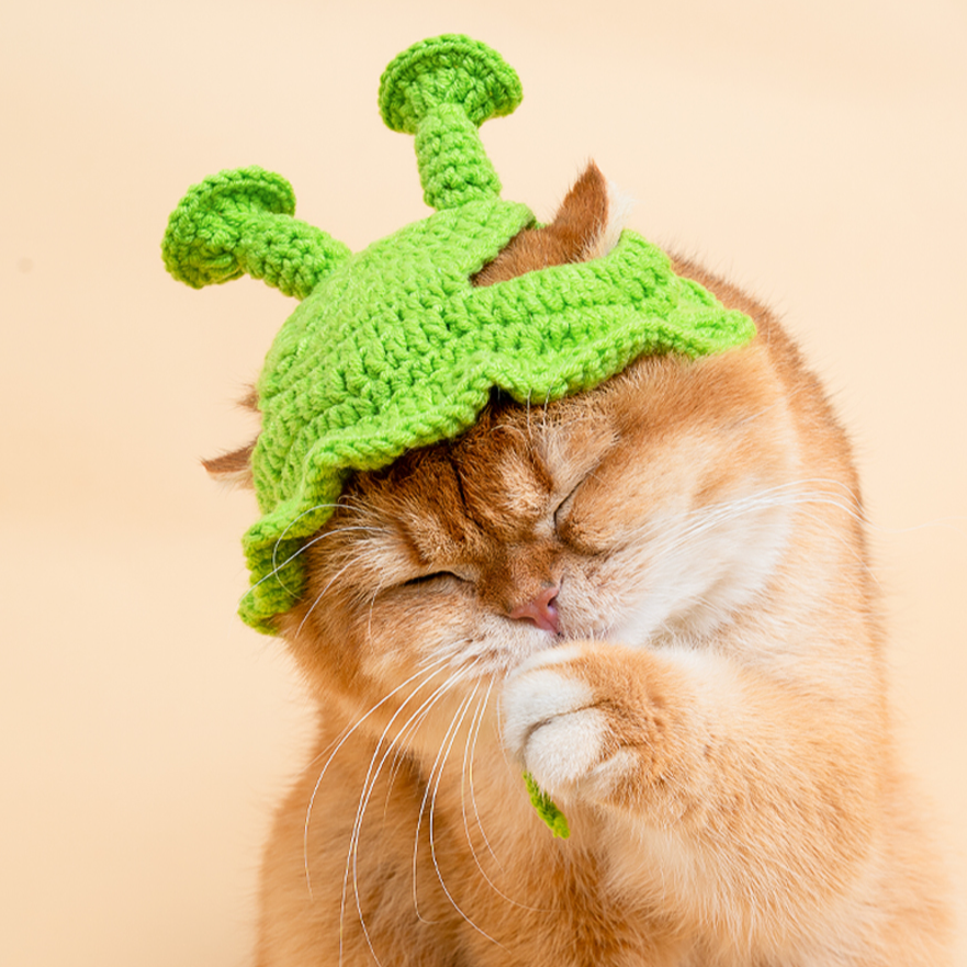 猫の帽子｜猫コスプレ仮装・ペット用品・ニット帽子・写真撮影・散歩用品