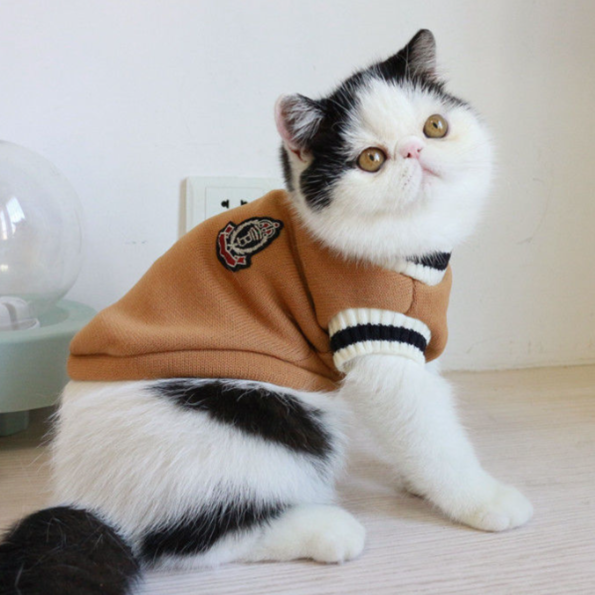 防寒 冬の猫服 ベスト式 かわいいペット服｜フワフワで良い手触り|undefined