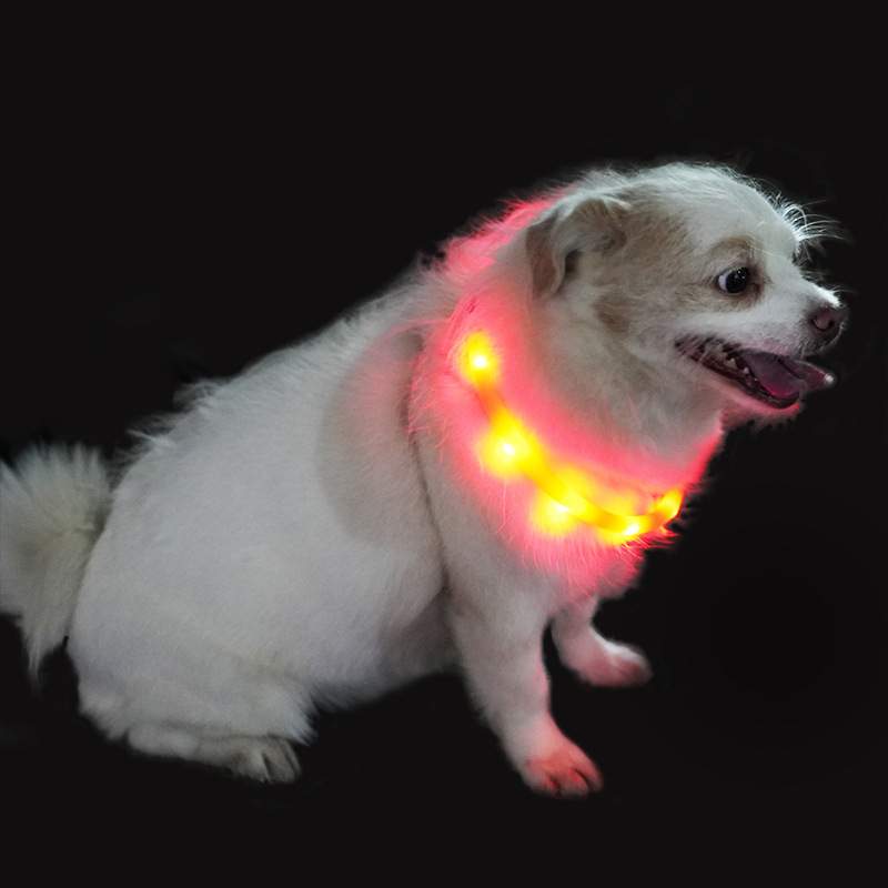 犬用首輪｜LED 発光 犬光る首輪 夜間も安心 充電式 サイズ調節可能 単色 usb