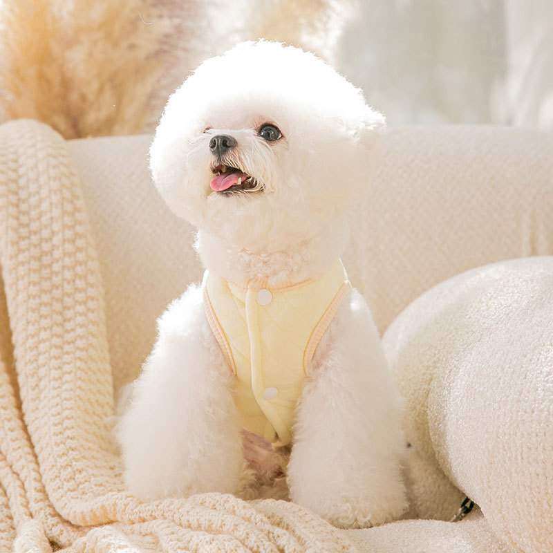 犬服｜ベルベット・柔らかい柄・秋冬保温・かわいい・お出かけ・室内・室外|undefined