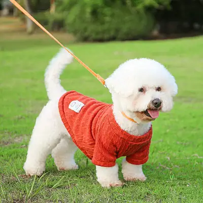 【わんちゃんの冬服にぴったり】ペット服｜寒さ対策・冬・小型犬・防寒・犬冬服・ペットグッズ