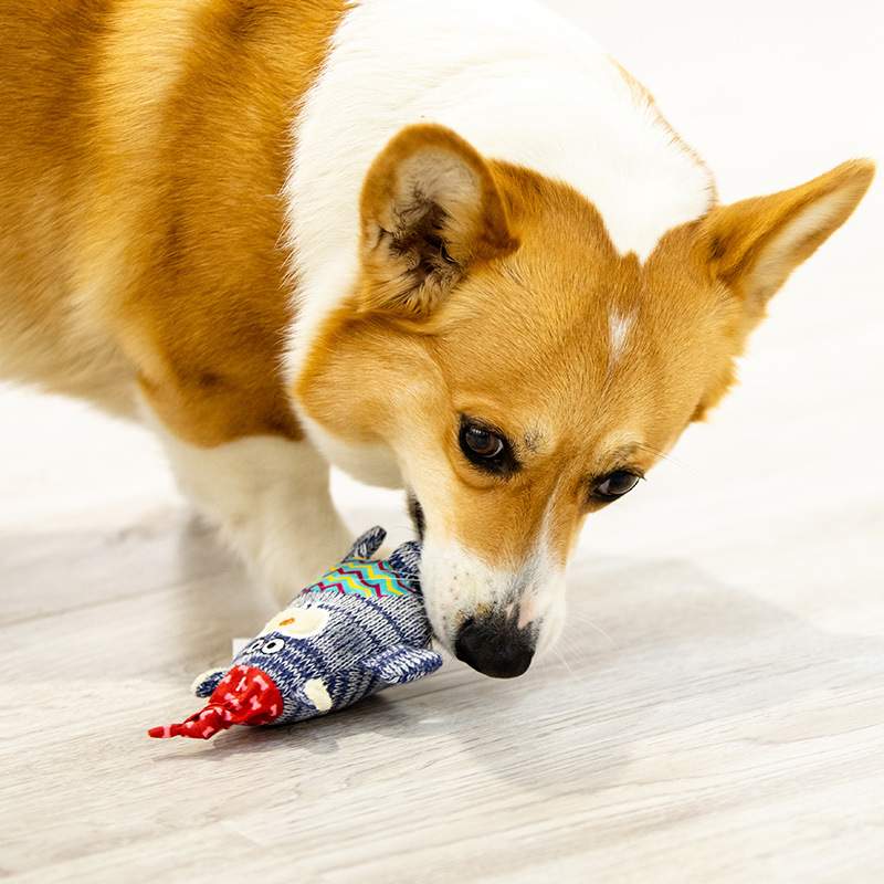 犬用おもちゃ｜音が出る・ぬいぐるみ・洗える・中小型犬に最適・超かわいい・おもしろい|undefined