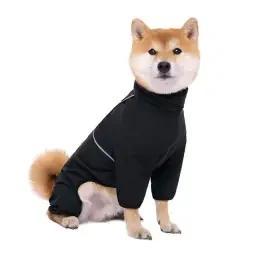 skuImage