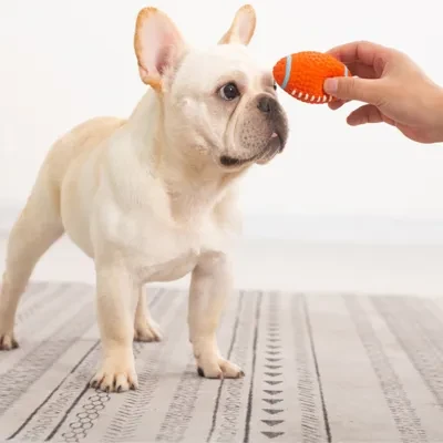 ペット用おもちゃ・鳴る・中型犬・テディ用品・子犬用おもちゃ・噛み耐久・歯磨き・ゴム・トレーニング・テニスボール