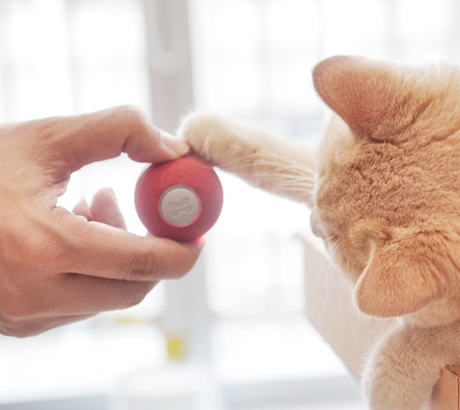 猫「ボールおもちゃ」｜天然シリコンを使用、無毒で無害！