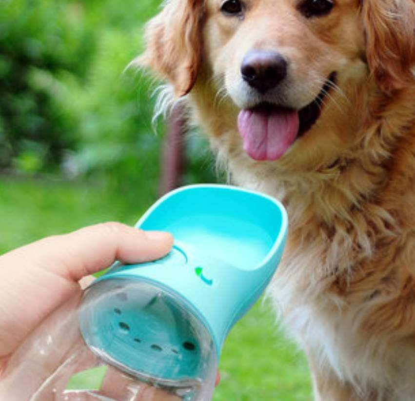 ペットウォーターボトル│手軽にペットの水分補給が可能！水槽付き ・水漏れ防止 ・犬散歩に最適♪|undefined