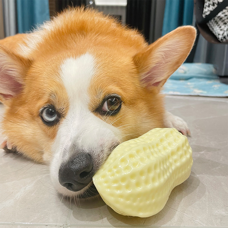 ピーナツ型犬用おもちゃ│インタラクティブなペットの歯のクリーニングのおもちゃ、トレーニング用のミルクフレーバーピーナッツ犬のおもちゃ|undefined