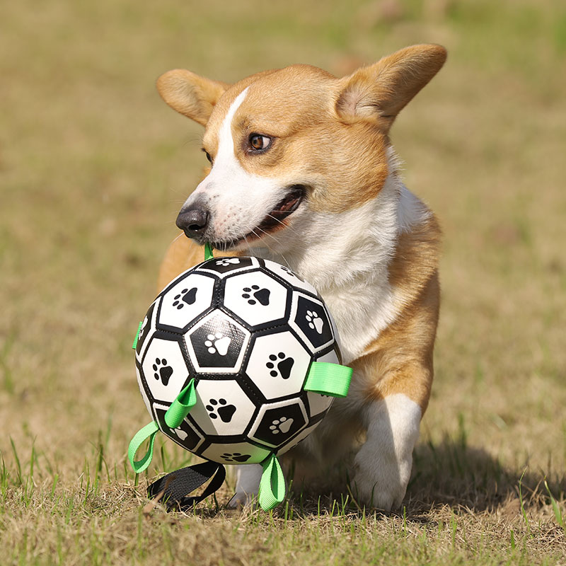 犬用サッカーボール｜一緒に遊びことで、飼い主とのコミュニケーションを増やす。|undefined