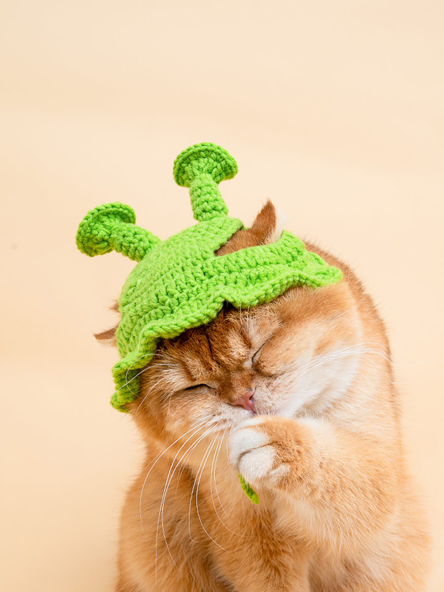 猫の帽子│猫コスプレ仮装・ペット用品・ニット帽子・写真撮影・散歩用品