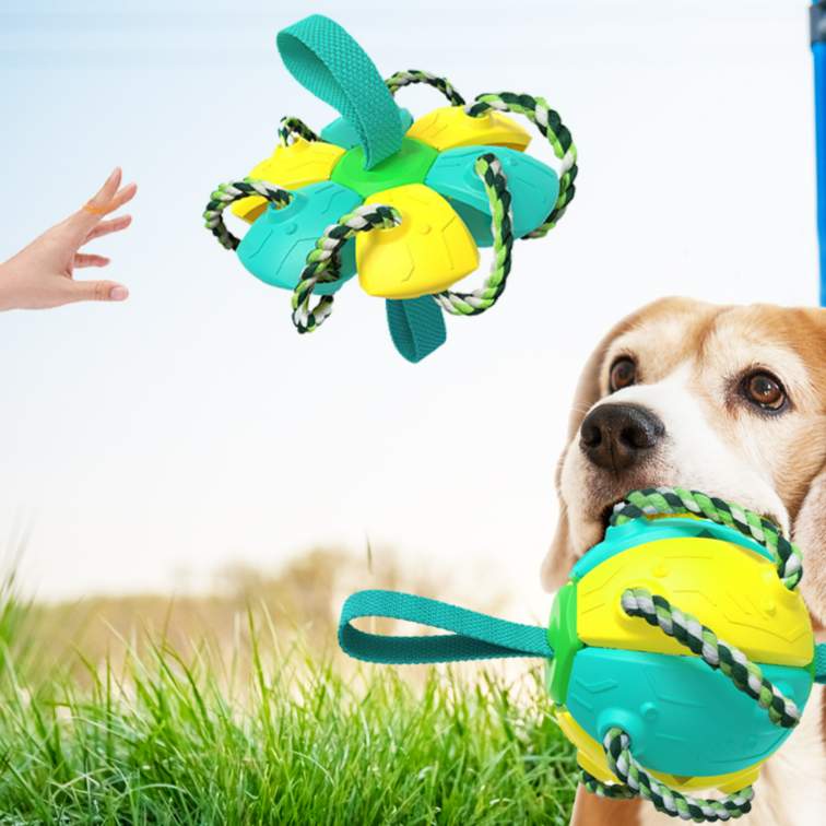 『飼い主様必見！』犬用おもちゃボール｜愛犬との絆を深めよう！|undefined