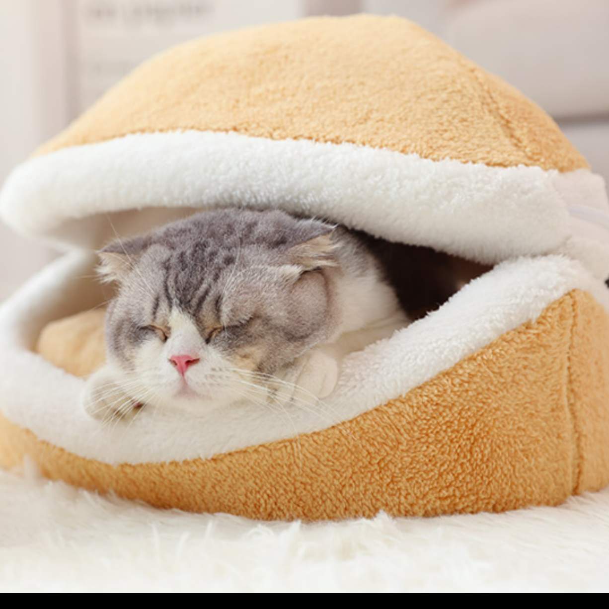 猫ベッド（3kg以内の猫ちゃんに推奨）｜暖かい・かわいい・ふかふか・柔らかい・洗える|undefined